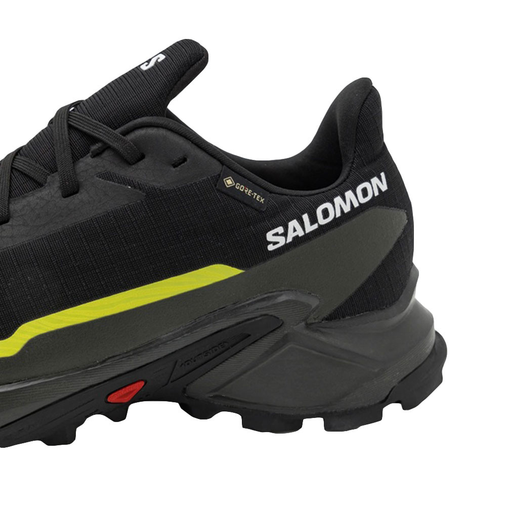 Alphacross 5 Gtx Chaussure Trail Homme