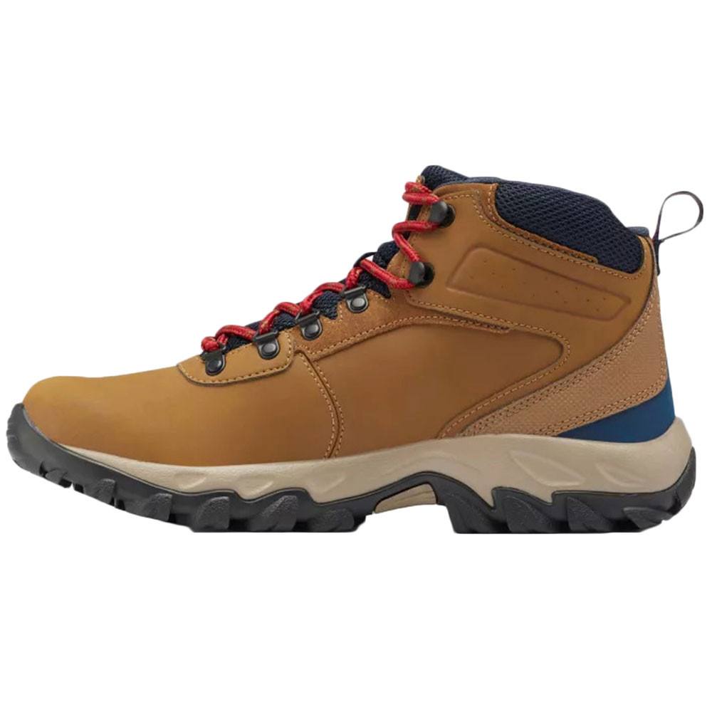 Newton Ridge Plus Ii Chaussure Rando Homme