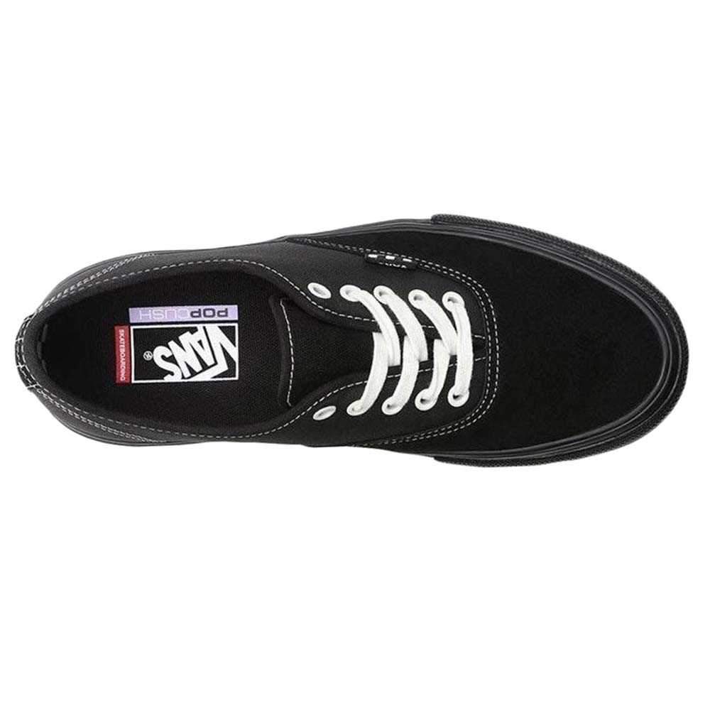 Skate Authentic Chaussure Homme