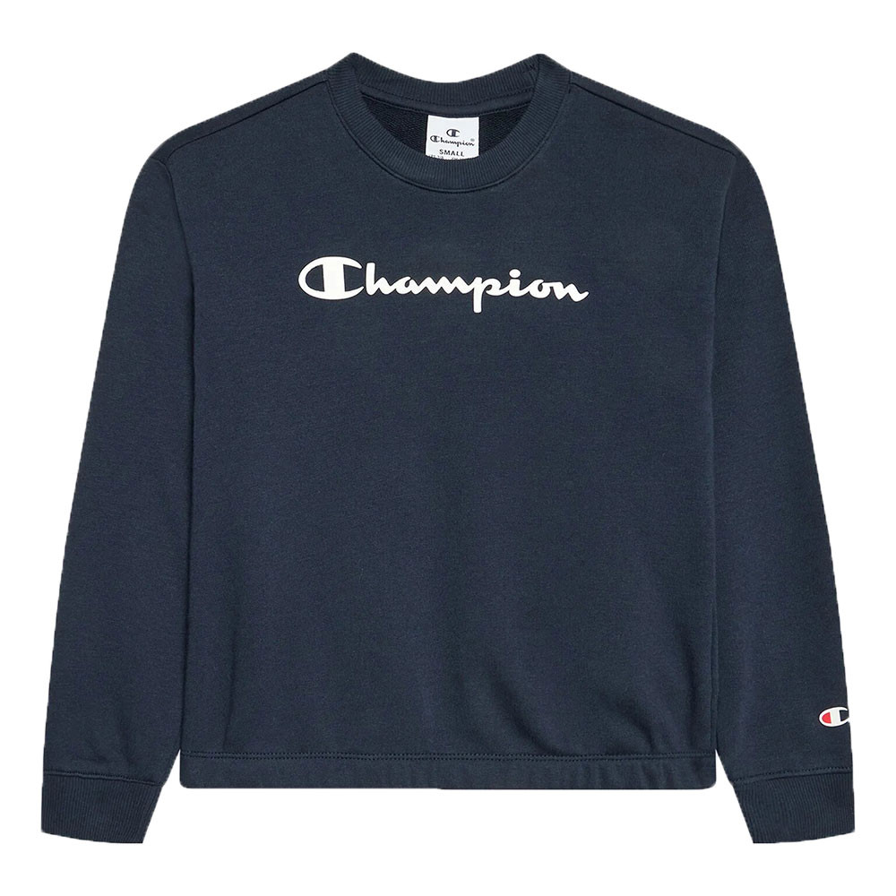 Sweat hotsell bleu champion