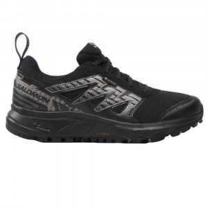Wander Gtx W Chaussure Trail Femme