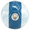 Mcfc Ballon De Foot