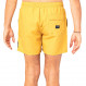 Easy Living Volley 16' Short De Bain Homme