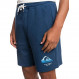 Local Surf Short Homme