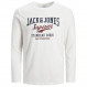 Logo T-Shirt Ml Garçon