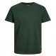 Organic Basic T-Shirt Mc Homme