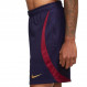 Psg M Nk Df Strk Short Foot Homme