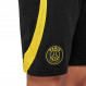 Psg Ynk Df Strk Short Foot Enfant