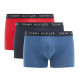 Trunk Boxer Homme